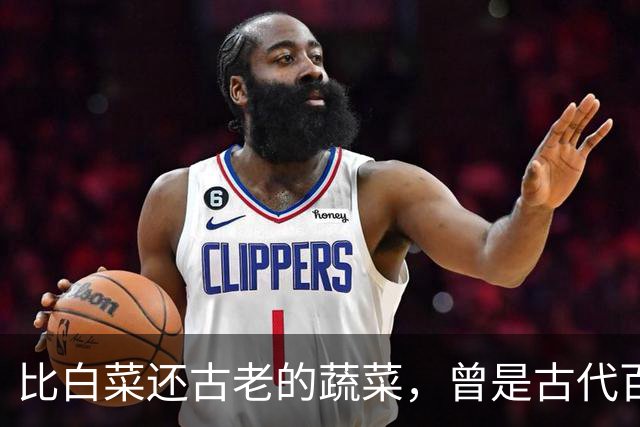 比白菜还古老的蔬菜，曾是古代百菜之王，如今却沦为边缘菜，年轻人多吃不习惯
